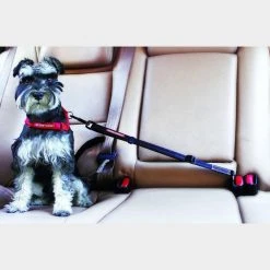Alternative view of Ezy-Dog 'Click' Adjustable Car Restraint