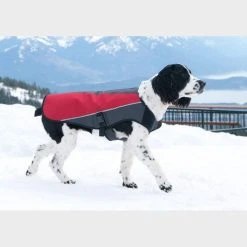 Ezy-Dog Element Dog Jacket (Small) 5 Ezy-Dog Element Dog Jacket (Small) -Sevylor Shop go 321334 b