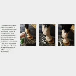 Alternative view of Nilaqua "Towel Off" Pet Shampoo With Natural Insect Repell