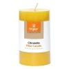 Hi Gear Citronella Pillar Candle