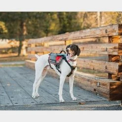 Ezy-Dog Summit Backpack (Medium) 6 Ezy-Dog Summit Backpack (Medium) -Sevylor Shop go 331556 c