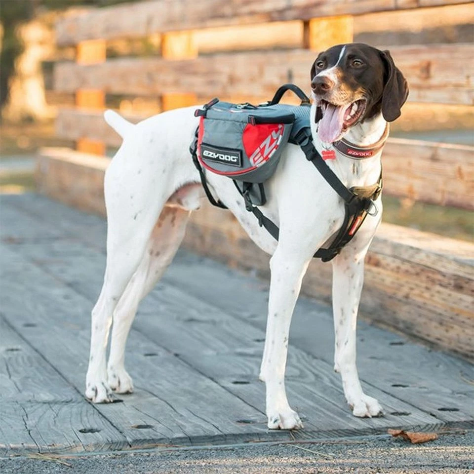 Ezy-Dog Summit Backpack (Large) 3 Ezy-Dog Summit Backpack (Large) - Image 3