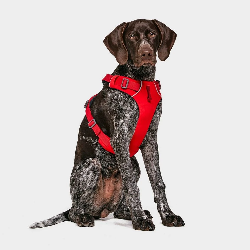 Ruffwear Front Range Dog Harness Red 1 Ruffwear Front Range Dog Harness Red