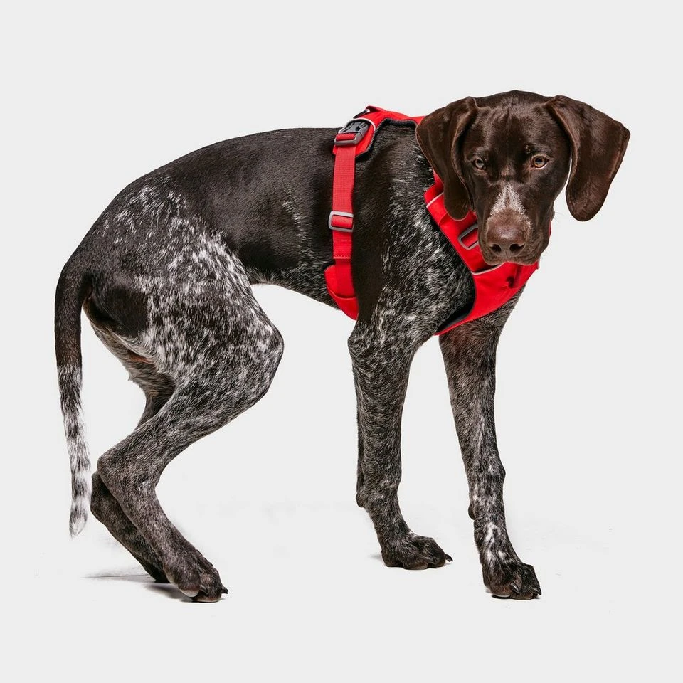 Ruffwear Front Range Dog Harness Red 2 Ruffwear Front Range Dog Harness Red - Image 2