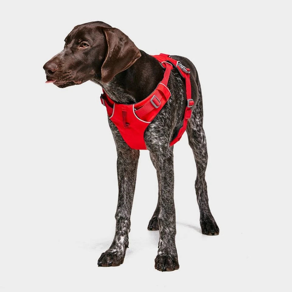 Ruffwear Front Range Dog Harness Red 3 Ruffwear Front Range Dog Harness Red - Image 3