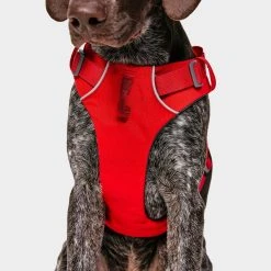 Ruffwear Front Range Dog Harness Red 10 Ruffwear Front Range Dog Harness Red -Sevylor Shop go 376054 e