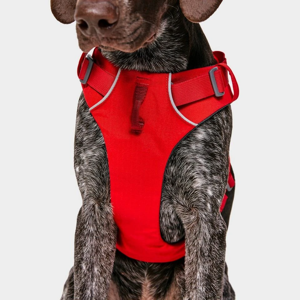 Ruffwear Front Range Dog Harness Red 5 Ruffwear Front Range Dog Harness Red - Image 5