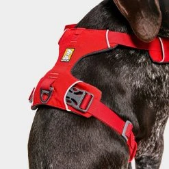 Ruffwear Front Range Dog Harness Red 11 Ruffwear Front Range Dog Harness Red -Sevylor Shop go 376054 f