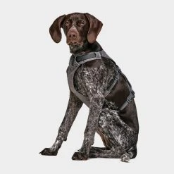 Ruffwear Flagline Dog Harness