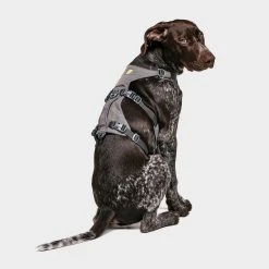 Alternative view of Ruffwear Flagline Dog Harness