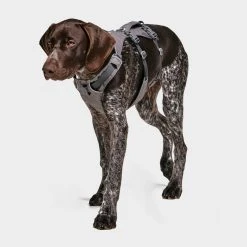 Ruffwear Flagline Dog Harness -Sevylor Shop go 376056 c