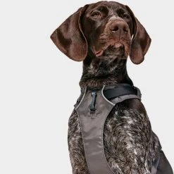 Ruffwear Flagline Dog Harness -Sevylor Shop go 376056 d