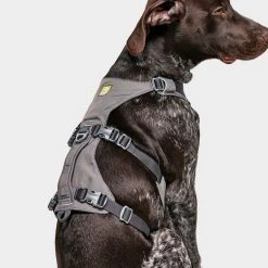 Ruffwear Flagline Dog Harness -Sevylor Shop go 376056 e
