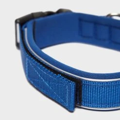 Ezy-Dog Classic Neo Dog Collar (Medium) 7 Ezy-Dog Classic Neo Dog Collar (Medium) -Sevylor Shop go 381774 c
