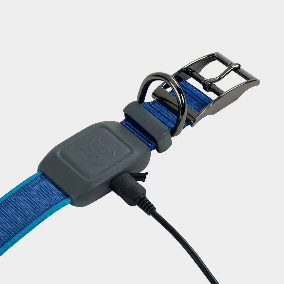 NiteIze Nitedog Rechargeable Collar Medium 5 NiteIze Nitedog Rechargeable Collar Medium - Image 5