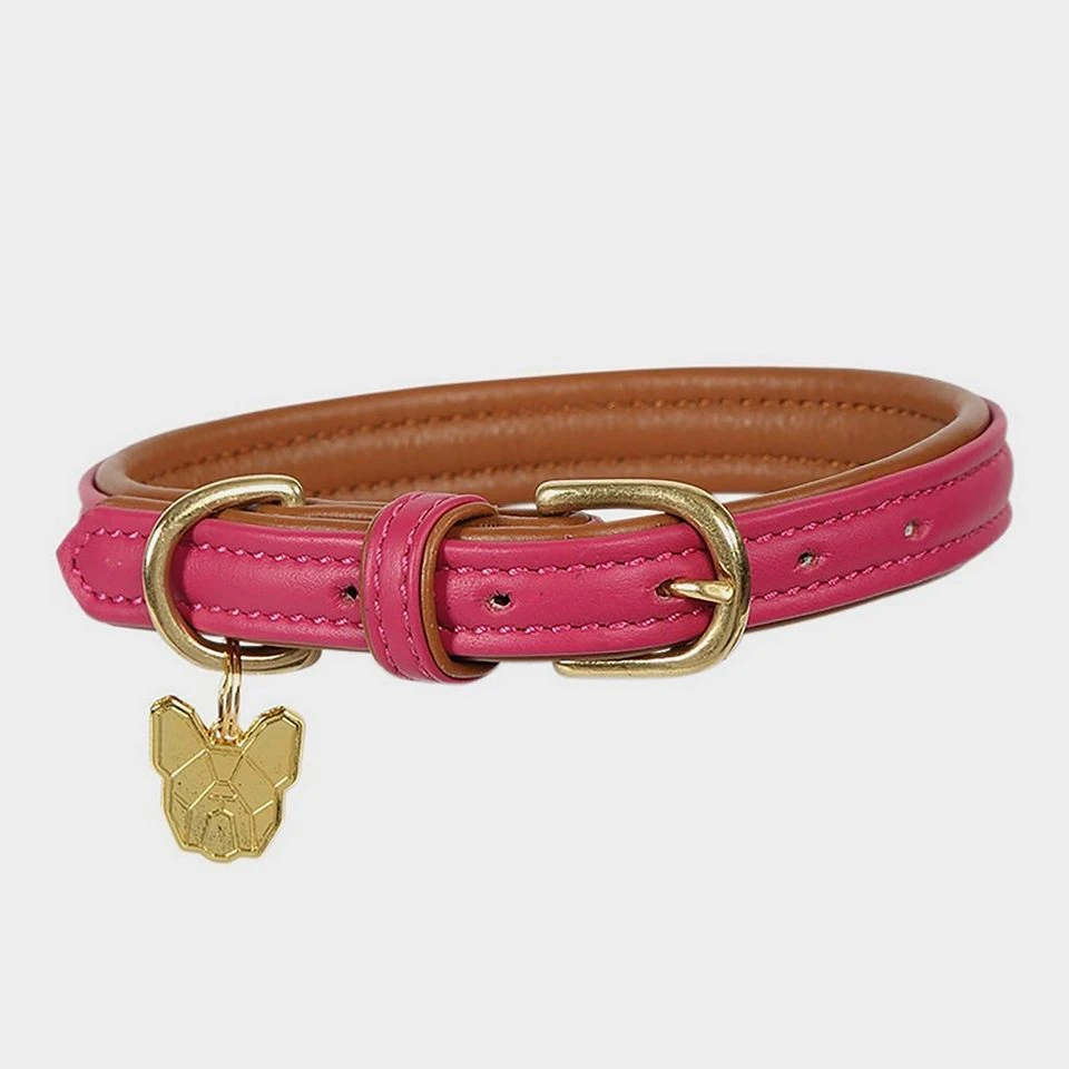 Digby & Fox Padded Leather Dog Collar 1 Digby & Fox Padded Leather Dog Collar