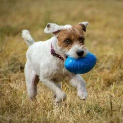 Alternative view of Petface Toyz Rugby Ball