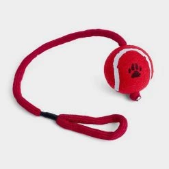 Petface Ball On A Rope
