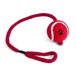 Petface Ball On A Rope -Sevylor Shop go 479067 z