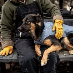 Ruffwear Overcoat Dog Jacket 11 Ruffwear Overcoat Dog Jacket -Sevylor Shop go 479977 e
