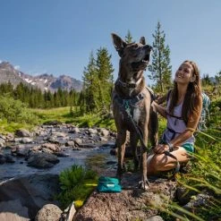Ruffwear Flat Out Dog Collar -Sevylor Shop go 479982 d