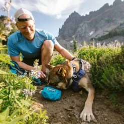 Ruffwear Front Range™ Dog Collar -Sevylor Shop go 479983 d