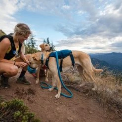 Ruffwear Switchbak™ Dog Harness 10 Ruffwear Switchbak™ Dog Harness -Sevylor Shop go 479988 e