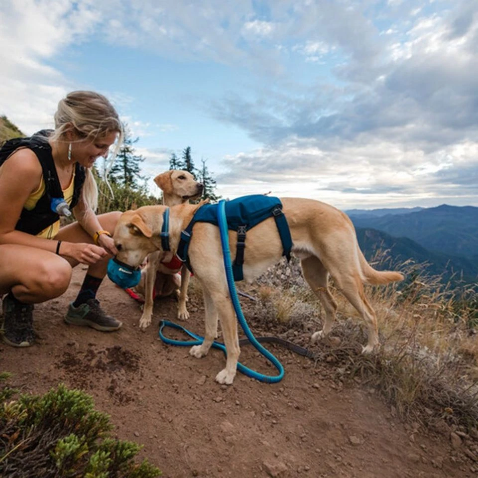 Ruffwear Switchbak™ Dog Harness 5 Ruffwear Switchbak™ Dog Harness - Image 5