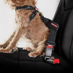 Ezy-Dog Dog Seat Belt Restraint -Sevylor Shop go 498398 b
