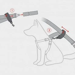 Ezy-Dog Dog Seat Belt Restraint -Sevylor Shop go 498398 c