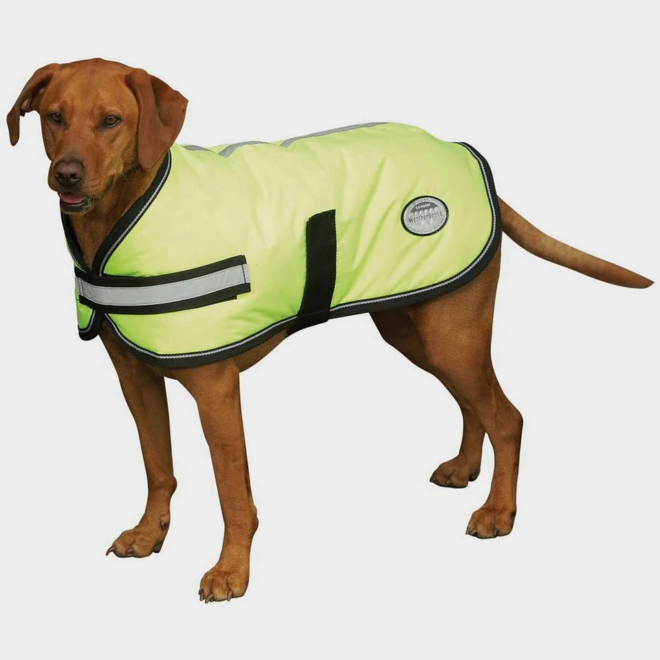 Weatherbeeta Comfitec Reflective Insulated Dog Coat 1 Weatherbeeta Comfitec Reflective Insulated Dog Coat
