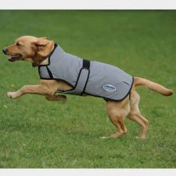 Alternative view of Weatherbeeta Comfitec Reflective Dog Coat Medium