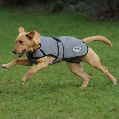 Weatherbeeta Comfitec Reflective Dog Coat Medium 12 Weatherbeeta Comfitec Reflective Dog Coat Medium -Sevylor Shop go 517551 c