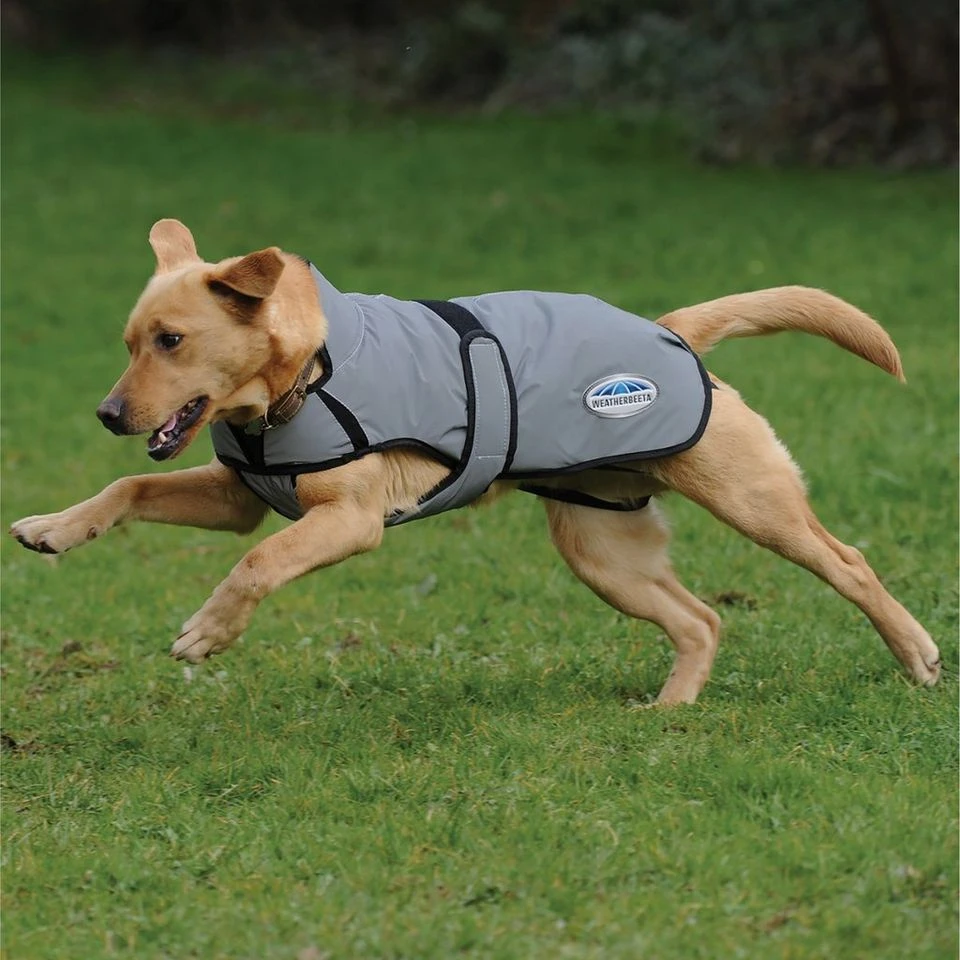 Weatherbeeta Comfitec Reflective Dog Coat Medium 3 Weatherbeeta Comfitec Reflective Dog Coat Medium - Image 3