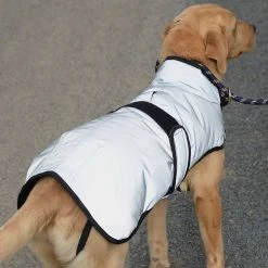 Weatherbeeta Comfitec Reflective Dog Coat Medium 15 Weatherbeeta Comfitec Reflective Dog Coat Medium -Sevylor Shop go 517551 f