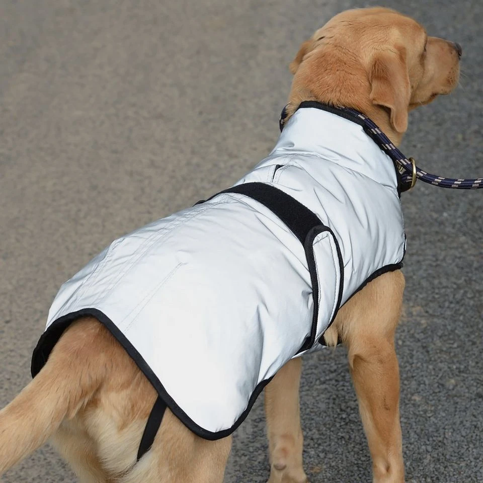 Weatherbeeta Comfitec Reflective Dog Coat Medium 6 Weatherbeeta Comfitec Reflective Dog Coat Medium - Image 6