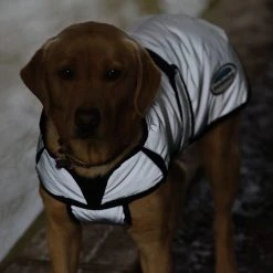 Weatherbeeta Comfitec Reflective Dog Coat Medium 18 Weatherbeeta Comfitec Reflective Dog Coat Medium -Sevylor Shop go 517551 i