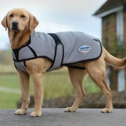 Weatherbeeta Comfitec Reflective Dog Coat Medium 19 Weatherbeeta Comfitec Reflective Dog Coat Medium -Sevylor Shop go 517551 z