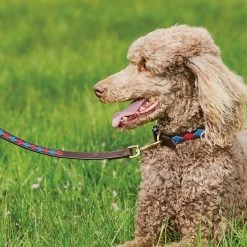 Weatherbeeta Polo Leather Dog Collar -Sevylor Shop go 517586 c
