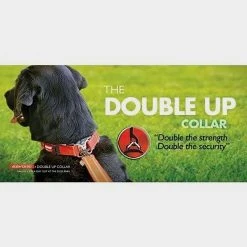 Ezy-Dog Double Up Dog Collar (Small) -Sevylor Shop go 604688 c