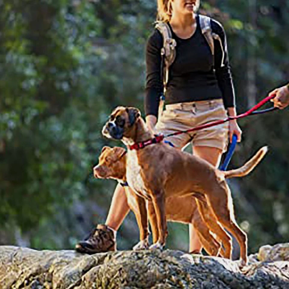Ezy-Dog Double Up Collar Rd - Image 2